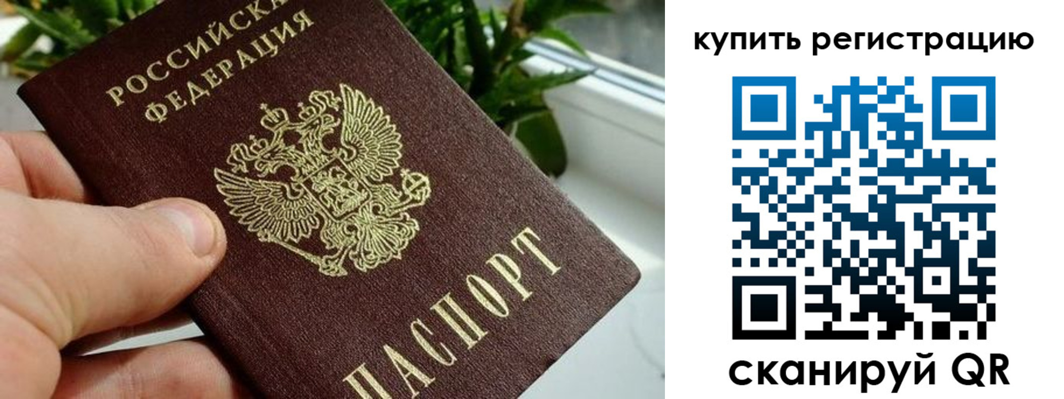 прописка гарантия в Марксе